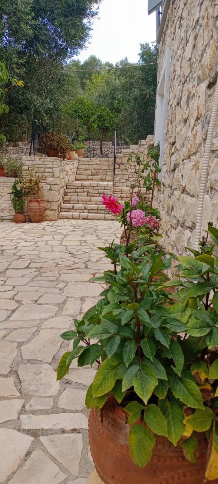 Villa Makris Zenempisatika Exterior foto