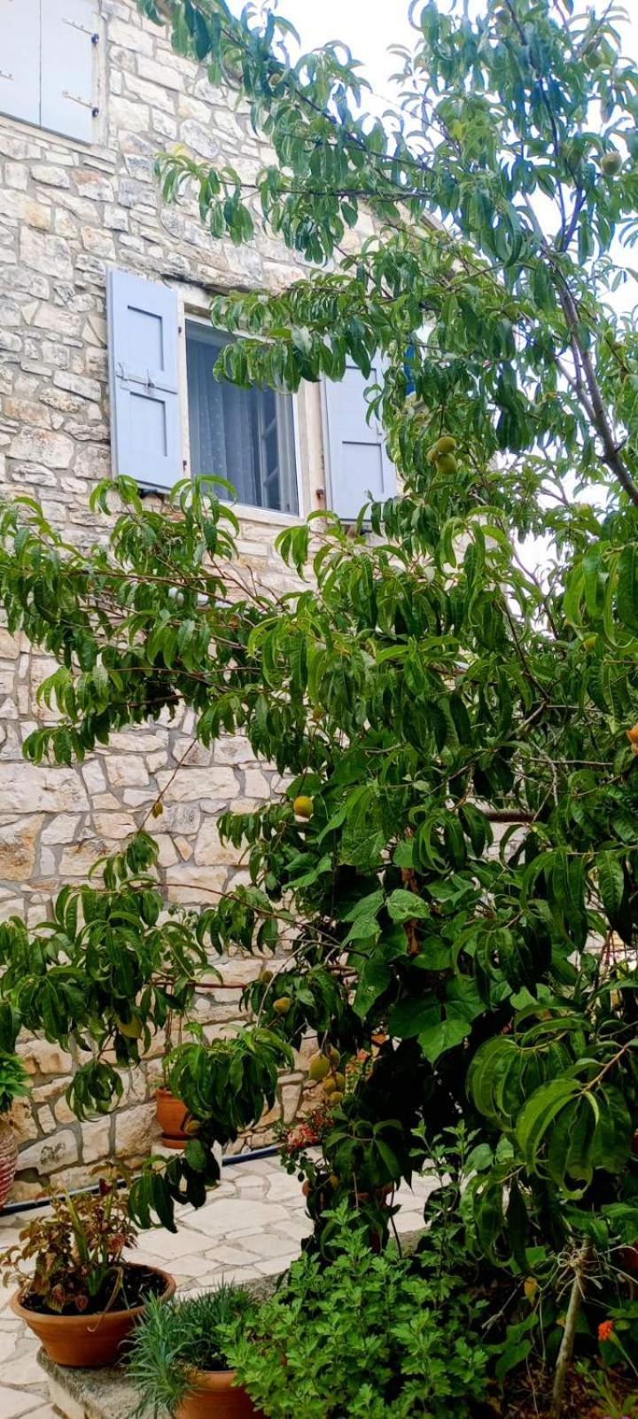 Villa Makris Zenempisatika Exterior foto